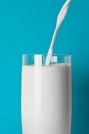 milk drink
