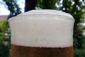 beer, foam ,glass, drink, tasty,alcohol