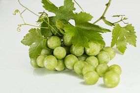 green sweet grapes