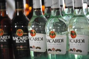 Bottles of Bacardi