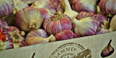 garlic cardboard box