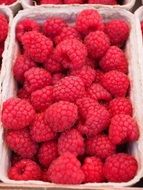 raspberries in the little box