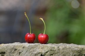 cherry delicious sweet healthy on stone