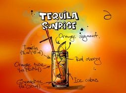 tequila sunrise cocktail drink drawing