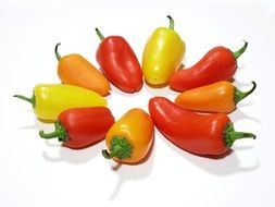 pepper yellow red orange