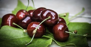 Closeup photo of Healthy cherries