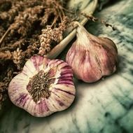 garlic near dry spices