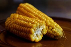 corn cobs for a healthy food