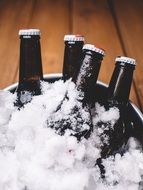 cold beer bottles in ice