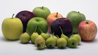 multi-colored apples and pears as a still life