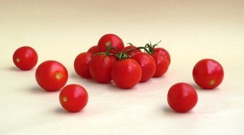 juicy and fresh tomato