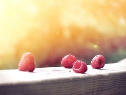 ripe raspberries on a wooden fence