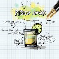 appearance and recipe of the coctail Pisco Sour