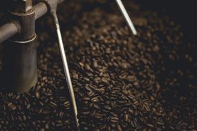 espresso beans