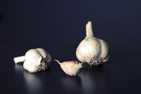 fresh garlic for health