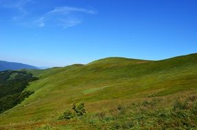 green meadow and blue sky