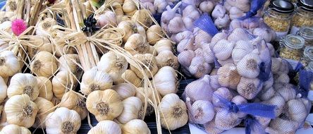 garlic in the autumn festival in Canada