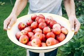 bio farm fruits