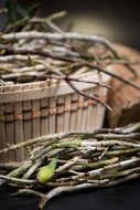 Closeup photo of Chinese herbal medicines