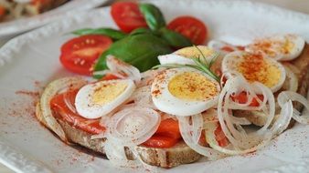 salmon sandwich with egg