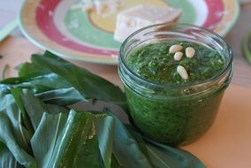 young garlic pesto sauce