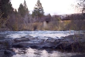 Photo of stones in a river