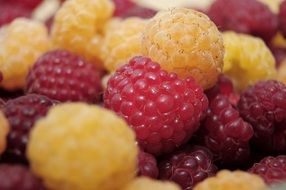 red and yellow raspberries fruit