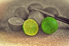 limes in monochrome