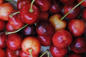 red cherries, summer background