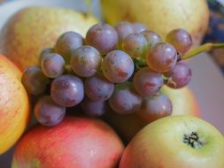 grapes and apples on a plate