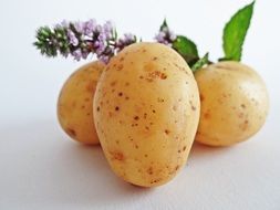 juicy and fresh potatoes