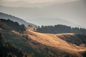 foggy forested mountains at fall