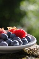 blueberries and raspberries on a plate