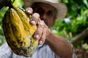 Man taking a cocoa