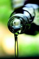 olive oil pouring from a bottle, Macro