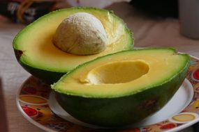 avocado with seed
