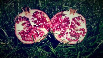 fresh pomegranate fruit