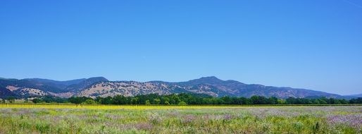 green field on the background of the mountain