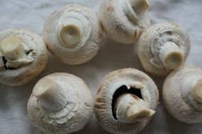 cultured mushrooms white mushroom eat food