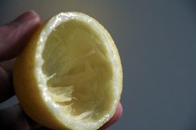 lemon peel in hand