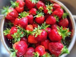 fresh strawberries in a bowl