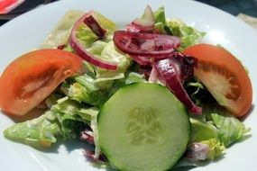 green salad on a plate