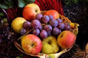 fresh fruit basket