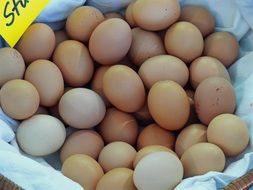 chicken eggs market