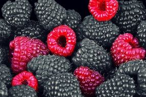 red and black raspberries