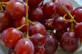 fresh healthy grapes vine clusters power food