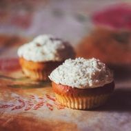 dessert cupcake