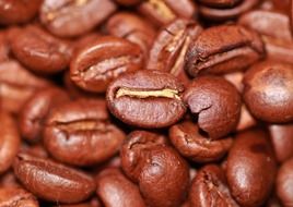 Macro photo of roasted coffee beans