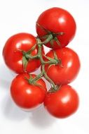 Photo of red tomatoes