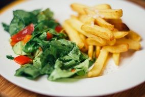 food salad and french fries